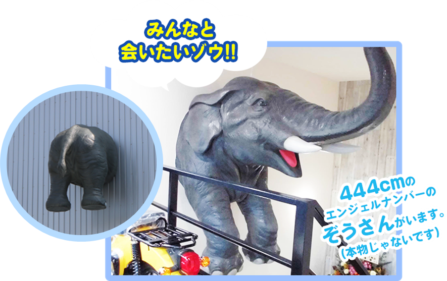 フジクラについて