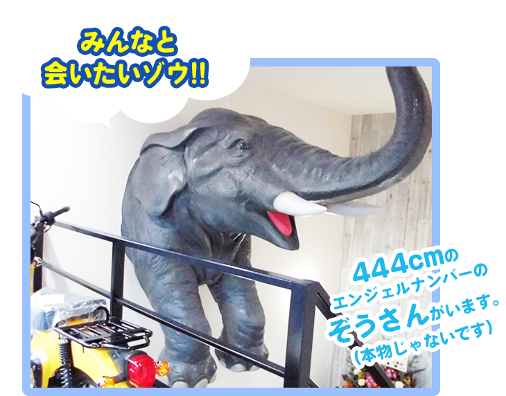 みんなと会いたいゾウ!!